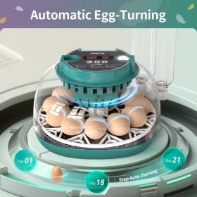 Automatic Egg Incubator for Hatching Eggs with LED Temperature Display, Humidity Control & Egg Turner, Clear Lid Incubator for Chicken, Quail & B (Option: 12 Eggs)