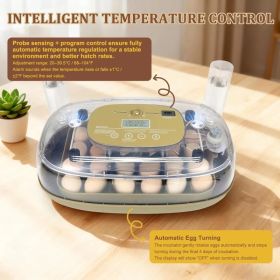 12-Egg Incubator for Beginners, Auto Egg Turn, Steady Self-Regulating Humidity & Consistent Temperature Control for Hatching Chicken, Goose, Duck (Option: 24 Egg-Green)